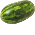 MELON SQAUD