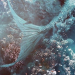 • Aqua Aesthetics •
