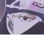 ~Artic Vibes~