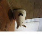 The dog poo