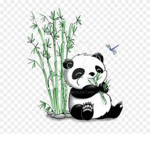Panda Tribe