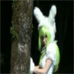fairyscurse