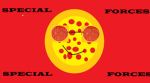 PRSF Pizza Republic Speical forces