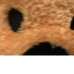DRIP_CATS