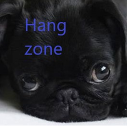 Hang out Zone