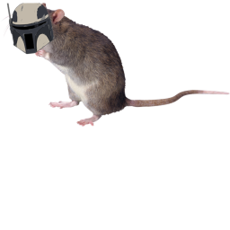 the rat - z or crest