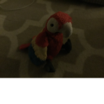 Parrot Parridise Raba