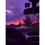 feuille <3