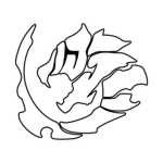 ETERNAL KAI DESTROYERS