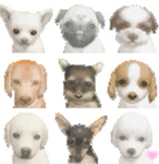 nintendogs