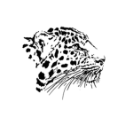The Leopards!!!