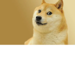 Fans of Doges Group