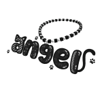 angel b 3.0