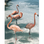 Fl4mingo Aesthetics