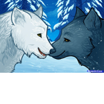 WOLVES GANG TOOOO