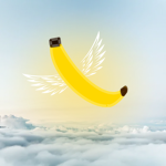 Holy Bannana’s