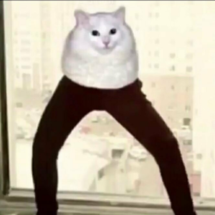 Cursed Cat Again Roblox decal