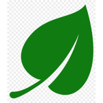 Paleo Botanists