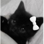 ixza