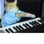 Keyboard Cat