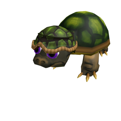 Crazy Turtle Friend