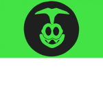 Iggy Koopa Organization