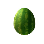 watermelon apex