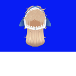 team_requin
