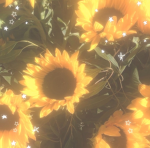 Summertime_Sunny<3