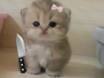 Cute_little_clothes