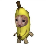 Thē Râtś