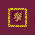 95th Air Assault Brigade.