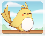 _birb Clothing