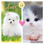 llllllllllllllllloooooooooooollllllll