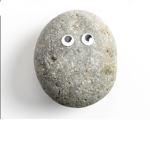 The rock #######