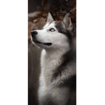Let The Wolfs Howl