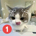 +100 Karma