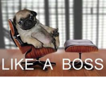 like a boss at games and roblox