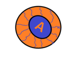 AlphaKetchup fan club