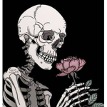 11081