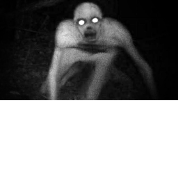 the rake