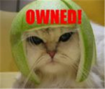 lol kitty fanclub!!!