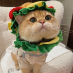Claws & Cuisines [ staff group ]