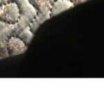 Meeeeeeeeeeeeep