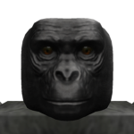 Animal Corp.