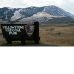 Yellow Stone national park