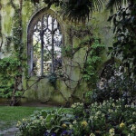 ･ﾟ:*♡𐐪𐑂･ﾟﾟ･｡⚘ *:.