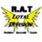 RAT JP's division