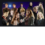 The Harry Potter Super fan group