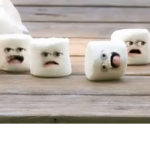 Marshmallow union